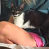 🐱 Inge sucht ihr für immer Zuhause ❤