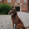 KIRA, Seniorin mit Dienstmarke