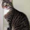 Sid sucht ein liebevolles Zuhause