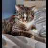 Sid sucht ein liebevolles Zuhause