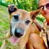 Robin sucht ein Zuhause