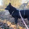 ELENYA -sensibel & feinfühlig-