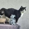 Olena sucht ein ruhiges Zuhause