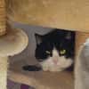 Olena sucht ein ruhiges Zuhause
