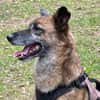 NISHA sucht ihre eigene aktive Familie