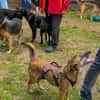 NISHA sucht ihre eigene aktive Familie