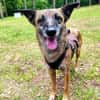 NISHA sucht ihre eigene aktive Familie