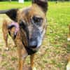NISHA sucht ihre eigene aktive Familie