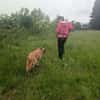 Dein neuer Begleiter