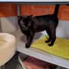 binx