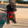HUGO (Martina)
