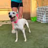 LIVIA (Martina)