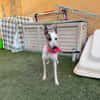 LIVIA (Martina)