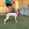 LIVIA (Martina)