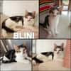 BLINI