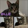 BILLIE
