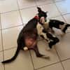 CHANCE pleine de douceur