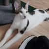 Liebevolles Handicat Geschwisterpaar