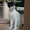 Liebevolles Handicat Geschwisterpaar