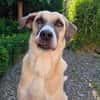 Lucy sucht ihr Fürimmerzuhause für ihren Lebensabend
