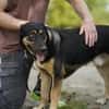 Miro sucht seine Familie