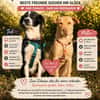 Millie & Ted suchen DICH!