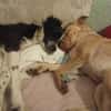 Millie & Ted suchen DICH!