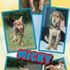 bezaubernder Welpenjunge Micky auf PS 92348