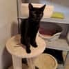 Réservé binx