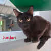 JORDAN