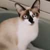 Fiona
