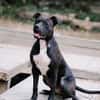 Onyx