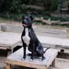 Onyx