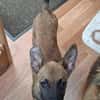 🐾❤ Käthe sucht ihr Zuhause für immer 🐾❤
