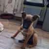 🐾❤ Käthe sucht ihr Zuhause für immer 🐾❤