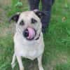 Ares, su. liebevolles Zuhause