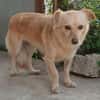 Romy -sucht Menschen mit Herz und Geduld