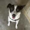 Jack