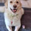 Menschenfreund Shorty will seine eigene Familie
