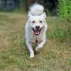 Menschenfreund Shorty will seine eigene Familie