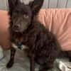 Neo ein besonderer Schatz