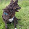 Neo ein besonderer Schatz