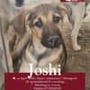 Joshi