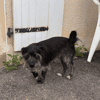 sanka (adoption duo avec Soaf)