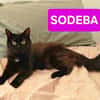 SODEBA
