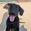 Cassis