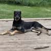 PAKO