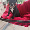 PEEKIE