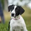 Bella - will die Welt entdecken!