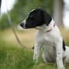 Bella - will die Welt entdecken!